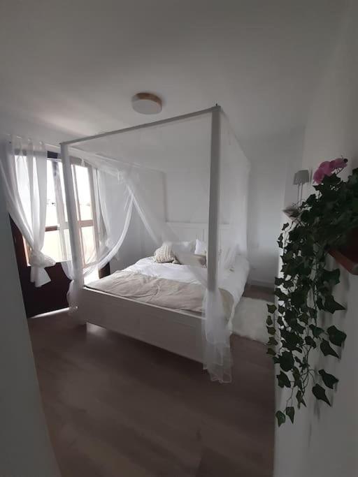 Casa Completa Loredo Beach Экстерьер фото